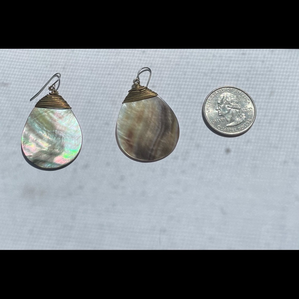 Abalone/Mother of Pearl Earrings